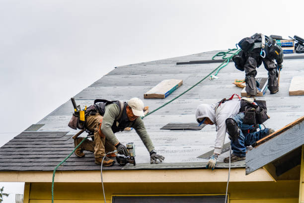 Professional Gutter Installation technician working in Tyner, NC