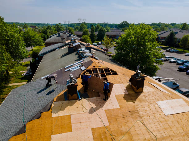 Trusted Roof Installation service in Tyner, NC - Brentwood Metal Roofing